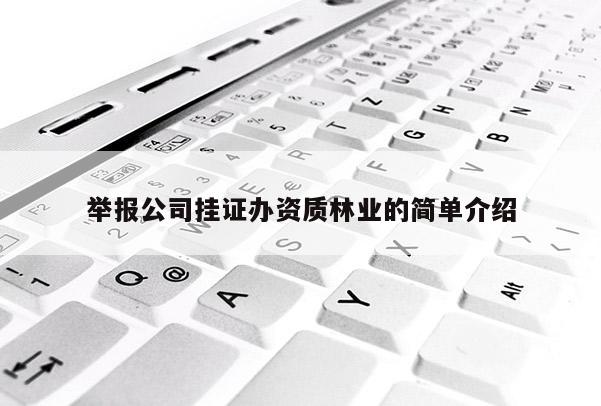 举报公司挂证办资质林业的简单介绍