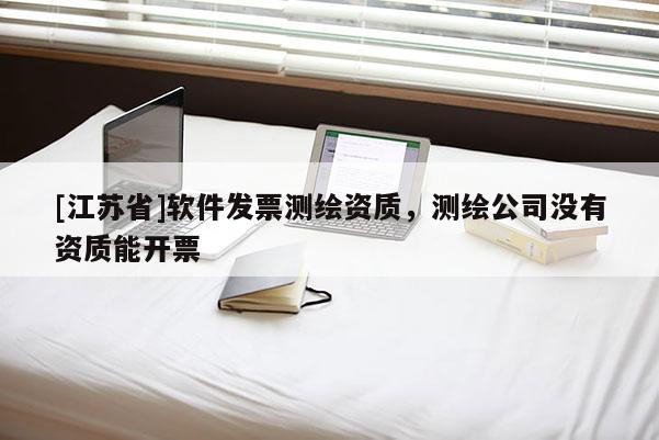 [江苏省]软件发票测绘资质，测绘公司没有资质能开票
