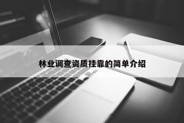 林业调查资质挂靠的简单介绍