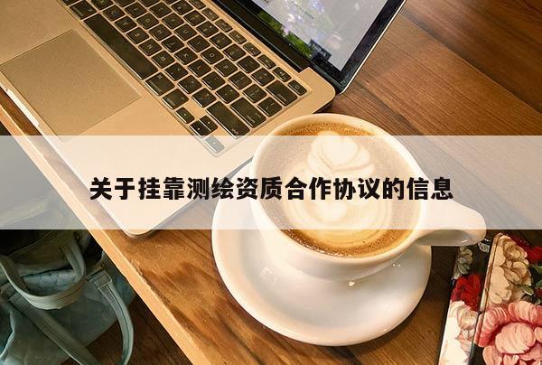 关于挂靠测绘资质合作协议的信息